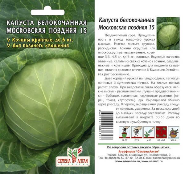 Капуста морозко описание сорта фото отзывы Капуста Московская поздняя 15/Семена Алтая/цп 0,5 гр. кабачок, капуста, лук. Сем