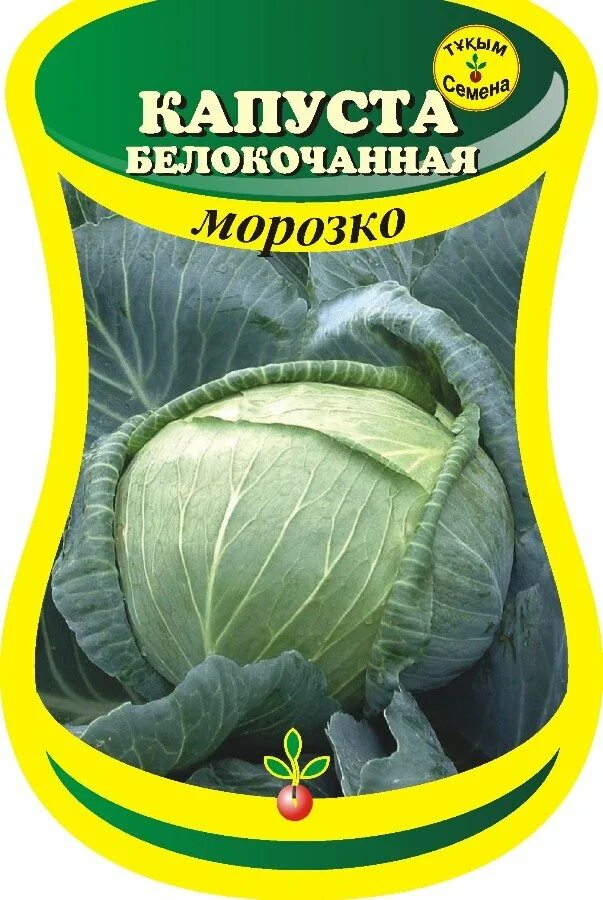 Капуста морозко описание сорта фото отзывы Капуста б/к поздняя Морозко (сем. Россия) 0,3 г.