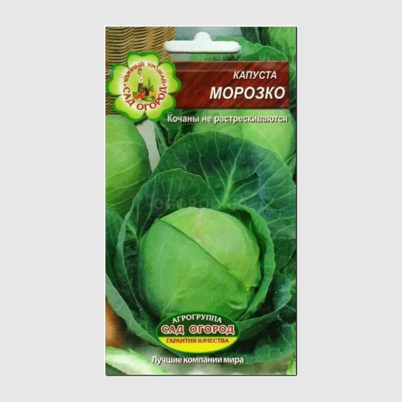 Капуста морозко описание сорта фото отзывы Семена капусты белокочанной "Морозко", ТМ Агрогруппа "САД ОГОРОД" - 0,5 грамм ку