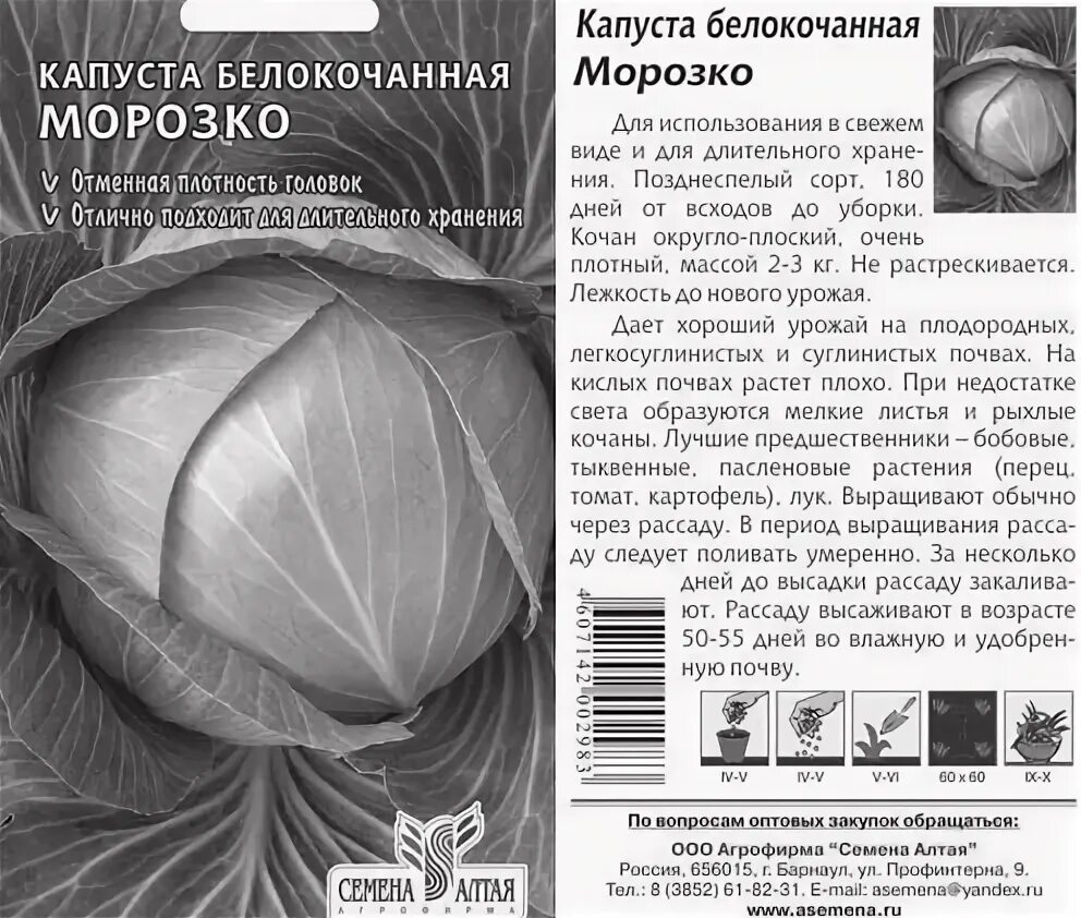 Капуста морозко описание сорта фото отзывы Капуста Морозко - описание сорта, фото, отзывы