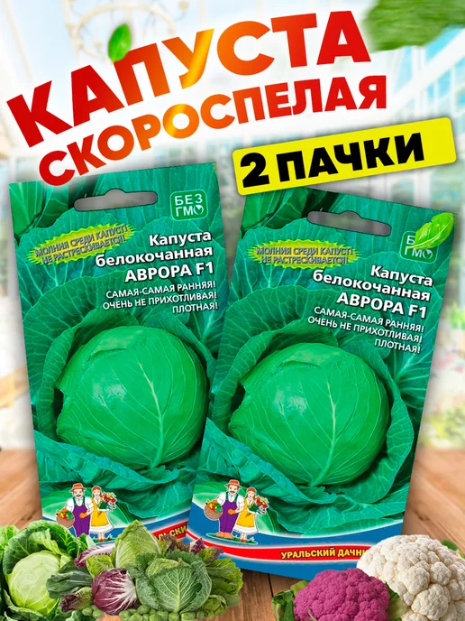 Капуста морозко описание сорта фото отзывы Капуста морозко фото - DelaDom.ru