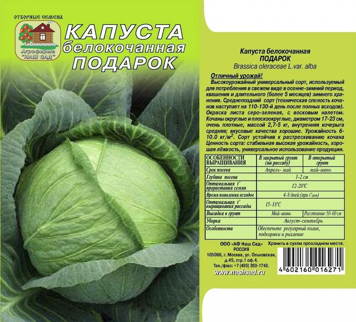 Капуста московская описание сорта фото Сорта капусты - название, описание с фото, советы по выращиванию