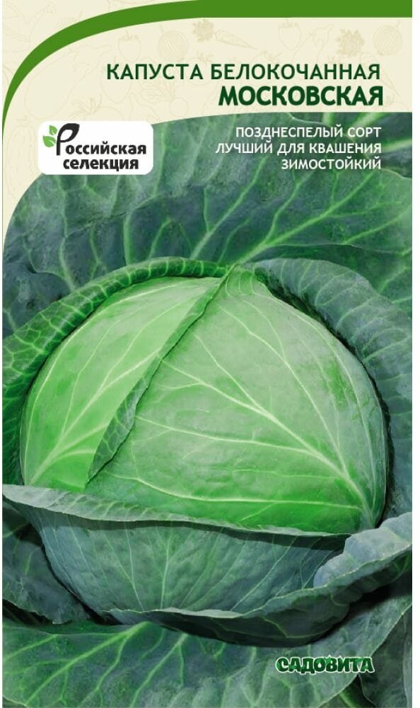 Капуста московская описание сорта фото отзывы Семена садовита Капуста Московская белокочанная 0.5 г 00140084 - купить в интерн