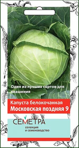 Капуста московская описание сорта фото отзывы Купить Семена Капуста белокочанная Московская поздняя 9 от АФ "Поиск", 12538