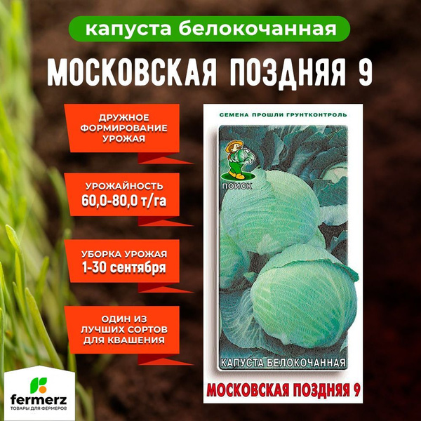 Капуста московская описание сорта фото отзывы Капуста ПОИСК Агрохолдинг Капуста белокочанная-FermerZ_светло-зеленый - купить п