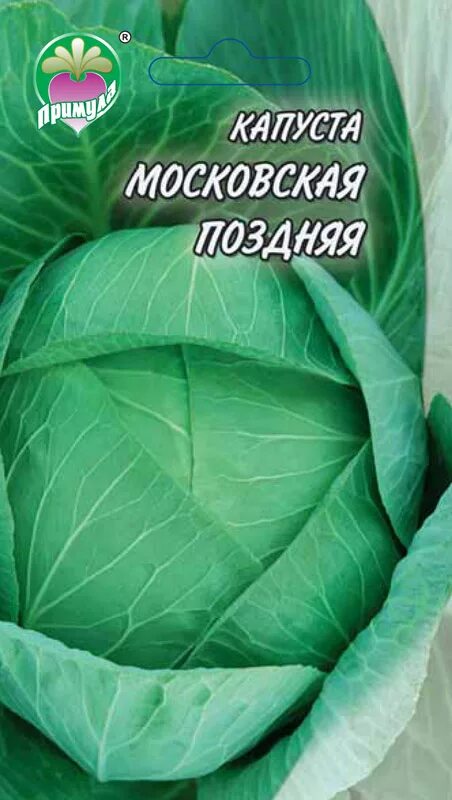 Капуста московская поздняя фото Капуста Московская Поздняя - Семена оптом ТМ "Примула"