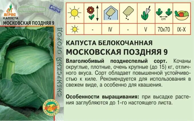 Капуста московская поздняя описание фото Капуста б/к"Московская поздняя 9"0.3г*, Италия, позд Капуста. Семена овощей