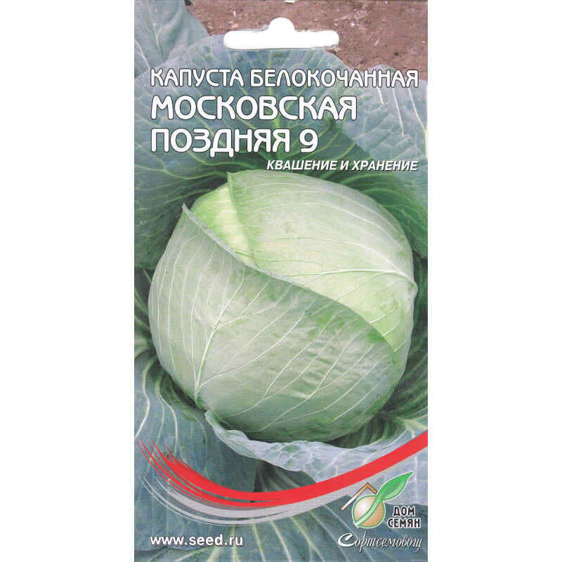 Капуста московская поздняя отзывы фото Сортсемовощ VEG.9825VS5019 - купить по выгодным ценам в интернет-магазине OZON (