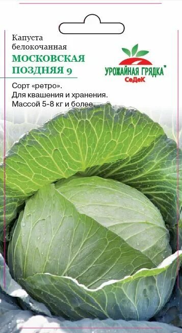 Капуста московская поздняя отзывы фото Капуста Московская поздняя (белокочанная) (УГ) - интернет-магазин СеДеК