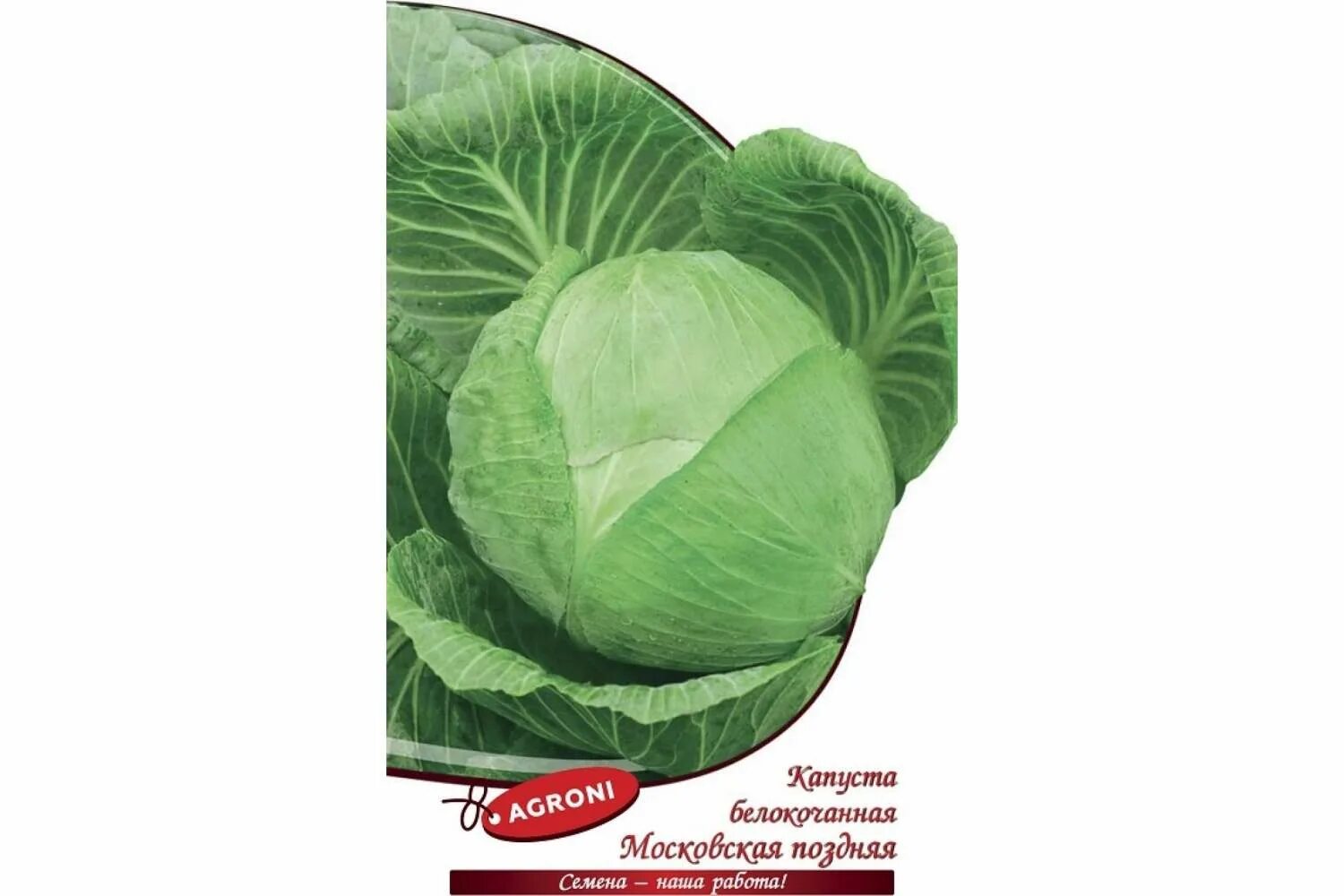 Капуста московская поздняя отзывы фото Семена капуста белокочанная Agroni Московская поздняя 1 уп. - купить в Москве, ц