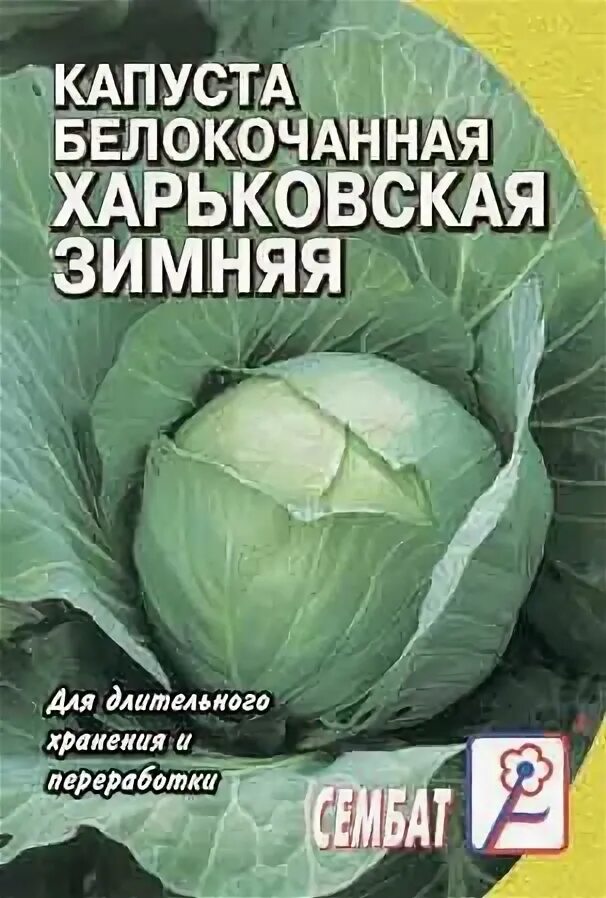 Капуста московская зимняя описание сорта фото Капуста Сембат 4607157010782 - купить по выгодным ценам в интернет-магазине OZON