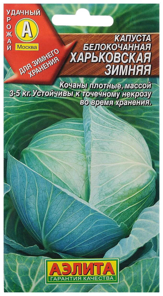 Капуста московская зимняя описание сорта фото Капуста Аэлита белокачанная_4601729095061 - купить по выгодным ценам в интернет-