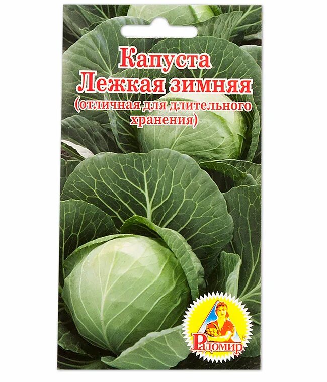 Капуста московская зимняя описание сорта фото отзывы Капуста зимняя: найдено 89 картинок