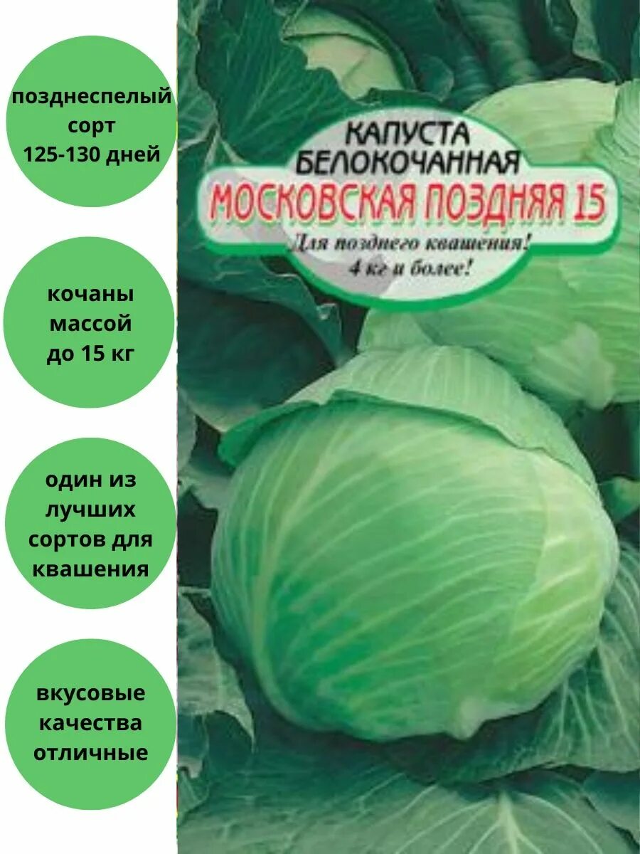 Капуста московская зимняя описание сорта фото отзывы Капуста Московская поздняя 15 белокочанная Сибирские сортовые семена 140193745 к