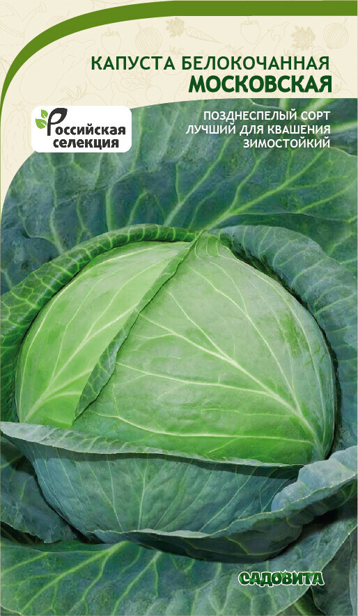 Капуста московская зимняя описание сорта фото отзывы Капуста Московская б/к 0,5гр