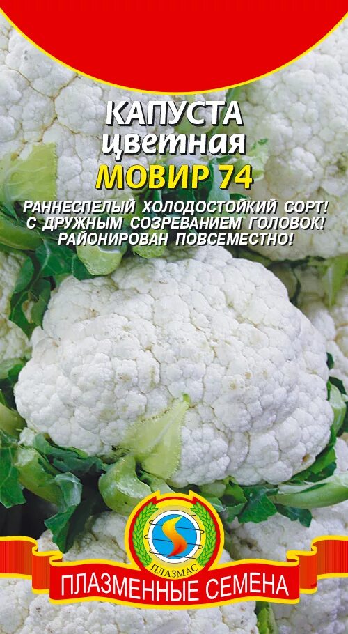 Капуста мовир фото Капуста цветная МОВИР 74