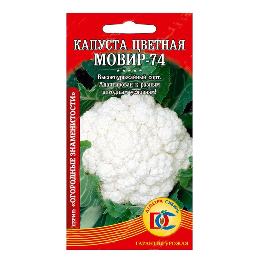 Капуста мовир фото Семена Капуста Цветная Мовир-74 0,3гр Ц/П купить в интернет-магазине Доминго