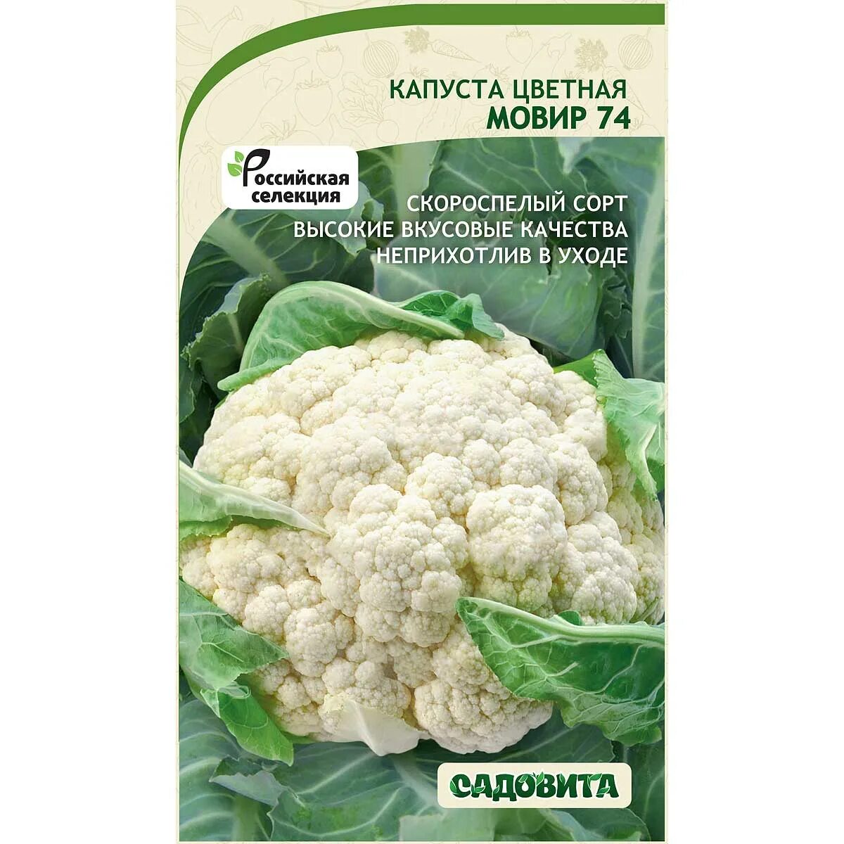 Капуста мовир фото Купить семена Капуста цветная Мовир 74 0,3гр Садовита Ц оптом от производителя