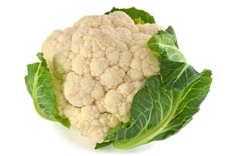 Капуста мозговая фото 98,346 Cauliflower стоковые фото - бесплатные и стоковые фото RF от Dreamstime -