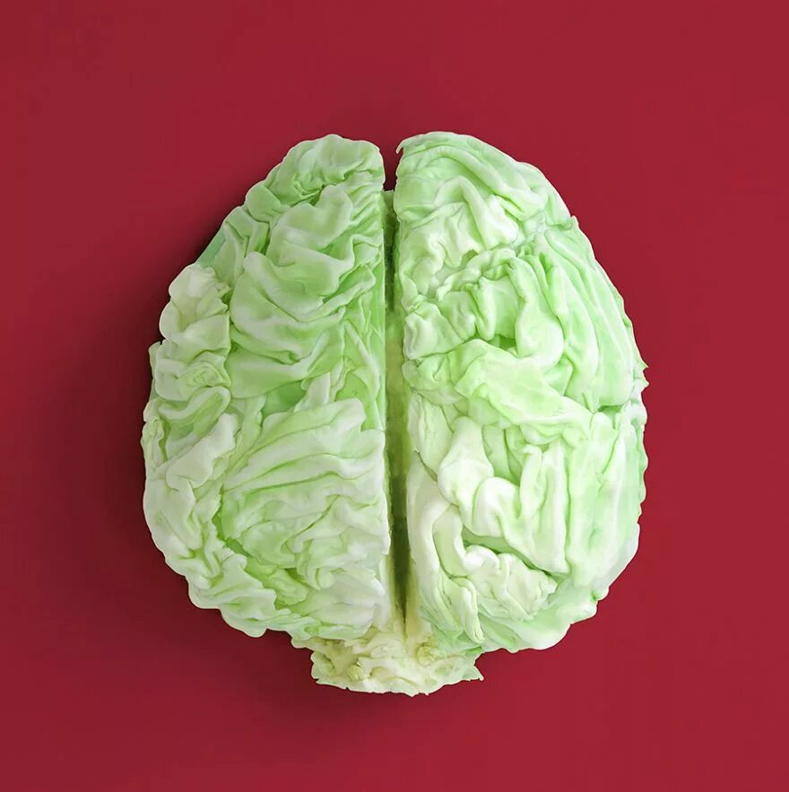Капуста мозговая фото Pin on Food art and photography