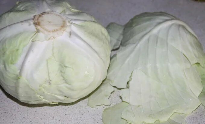 Капуста на зиму фото Тушеная капуста с мясом - 10 вкусных пошаговых рецептов с фото