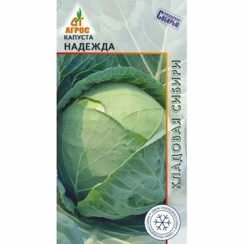 Капуста надежда фото Агрос кап902 - купить по выгодным ценам в интернет-магазине OZON (1441509735)