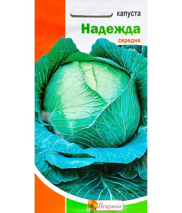 Капуста надежда описание сорта фото отзывы Капуста Надежда 0.5г Семена капусты Фиалка.net