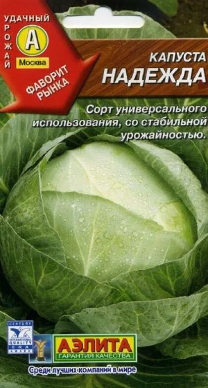 Капуста надежда описание сорта фото отзывы Надежда Ц(А) капуста