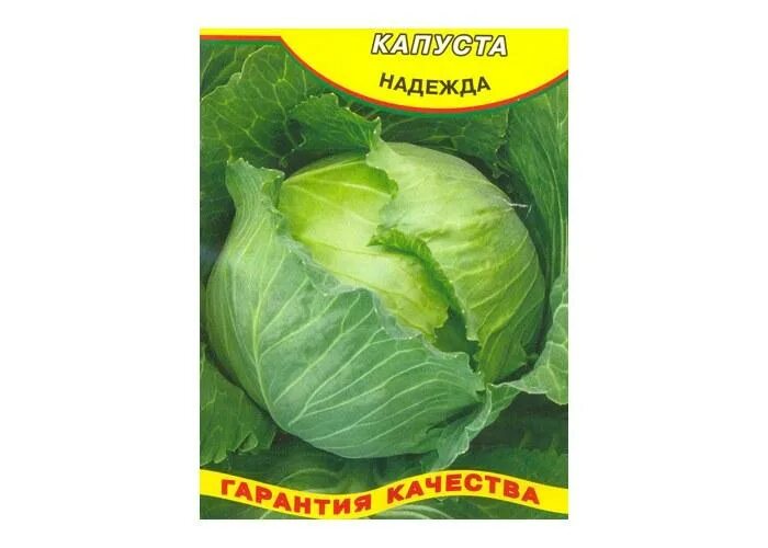 Капуста надежда описание сорта фото отзывы Капуста Надежда: описание сорта, отзывы, фото, урожайность