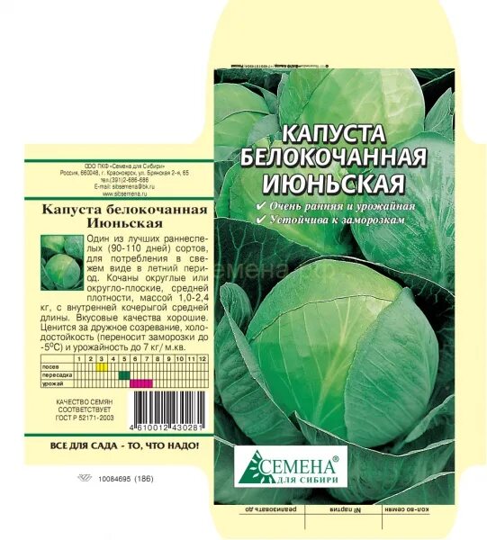 Капуста надежда описание сорта фото отзывы Купить Капуста белокочанная Июньская Семена для Сибири по цене 13 руб. в Иркутск