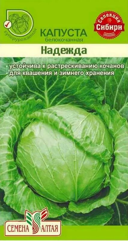 Капуста надежда описание сорта фото отзывы Совместные покупки - Томск - Капуста Надежда белокочанная 0,5 гр. /цп/ Семена Ал