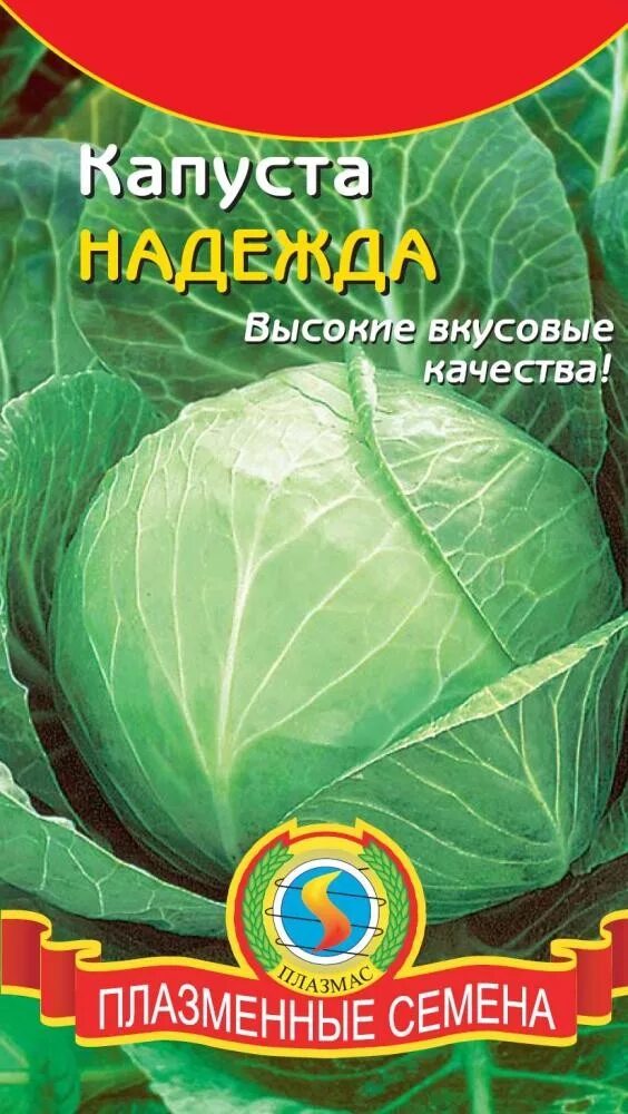Капуста надежда описание сорта фото отзывы Капуста б/к Надежда - с бесплатной доставкой можно купить в интернет магазине се