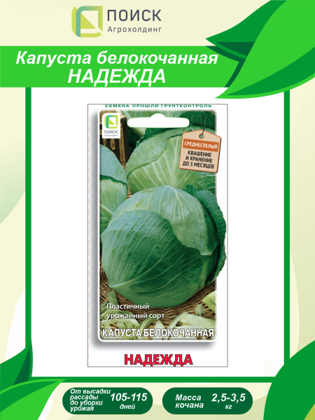 Капуста надежда описание сорта фото отзывы Капуста ПОИСК Агрохолдинг Капуста белокочанная - купить по выгодным ценам в инте