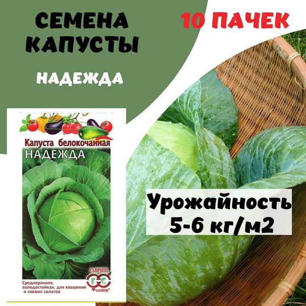 Капуста надежда описание сорта фото отзывы Капуста семена_капуста_гавриш_10 - купить по выгодным ценам в интернет-магазине 