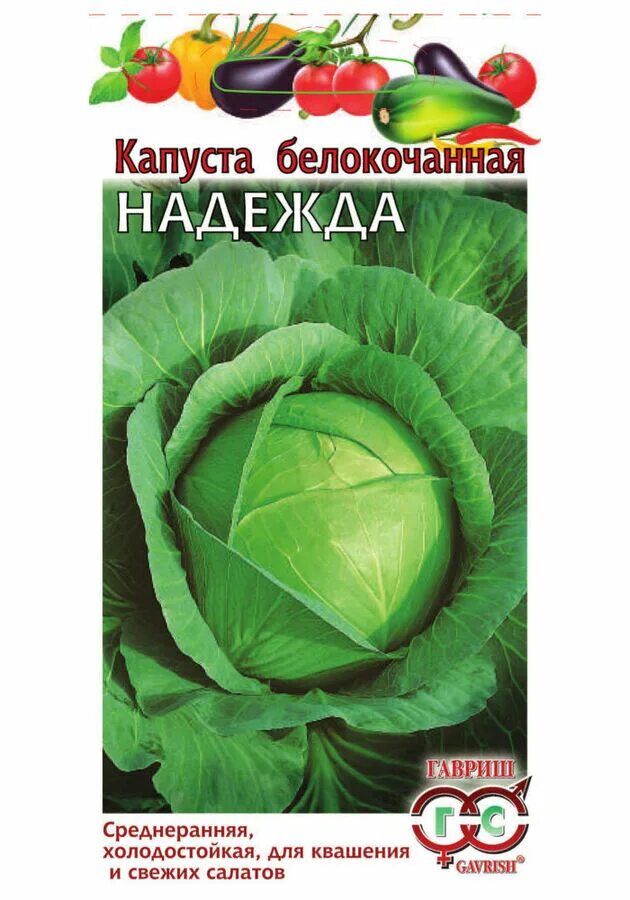 Капуста надежда описание сорта фото отзывы Семена Капуста белокочанная Надежда для квашения 0,5г Гавриш Семена баклажаны. С