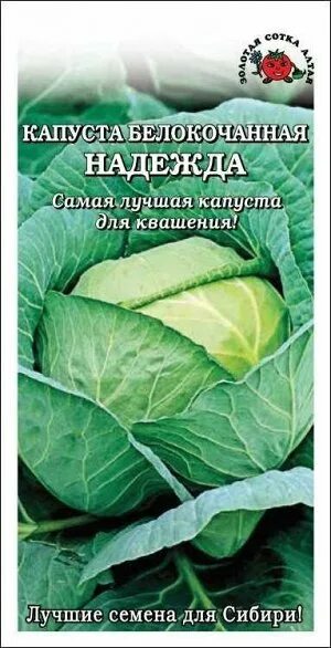 Капуста надежда описание сорта фото отзывы Золотая сотка Алтая / Капуста б/к Надежда ЦВ/П (СОТКА) 0,5гр среднеспелый Капуст