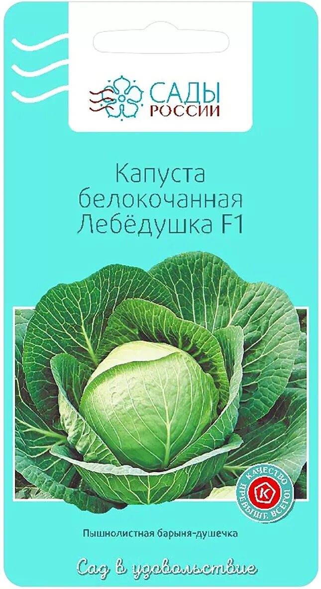 Капуста несравненная описание сорта фото отзывы Капуста