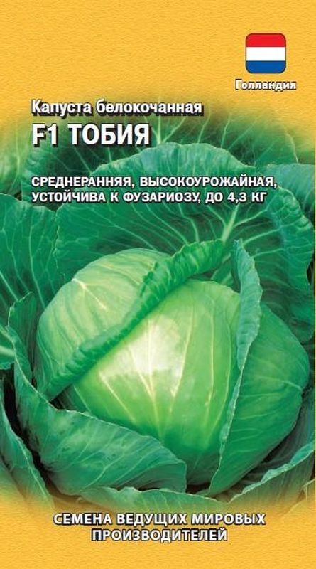 Капуста нозоми f1 описание сорта фото отзывы Семена Капуста б/к F1 Тобия: описание сорта, фото - купить с доставкой или почто