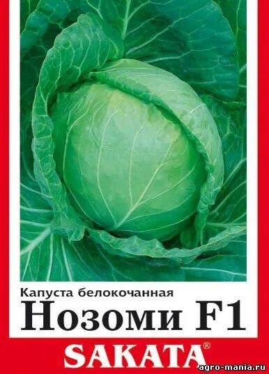 Капуста нозоми f1 описание сорта фото отзывы Капуста нозоми фото Molot-Club.ru