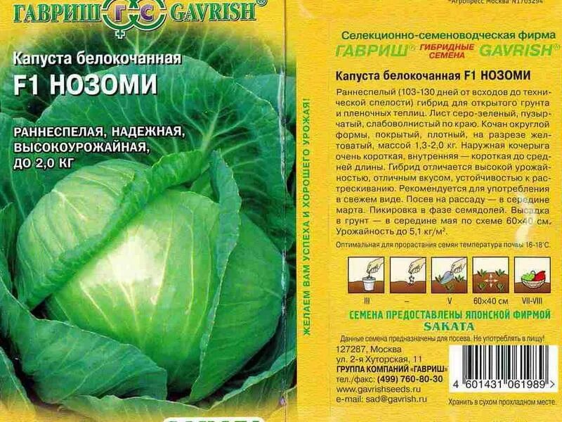Капуста нозоми f1 описание сорта фото отзывы Капуста нозоми фото Molot-Club.ru