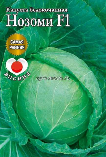 Капуста нозоми фото Капуста нозоми f1: описание сорта, фото, отзывы