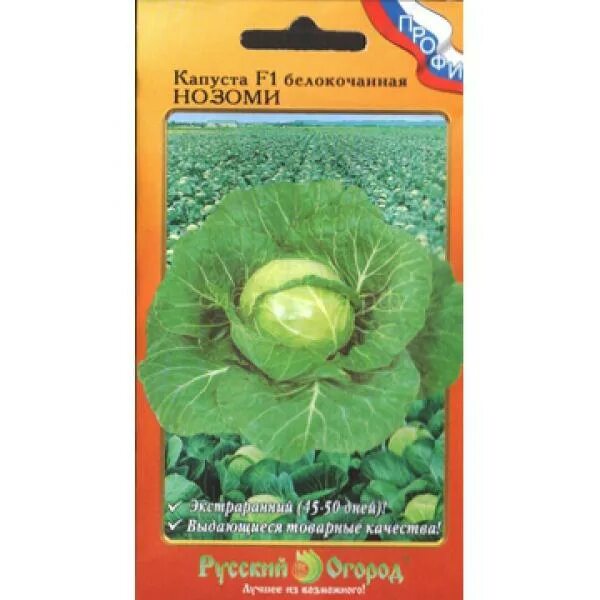 Капуста нозоми фото Капуста бк Нозоми F1 (НК)