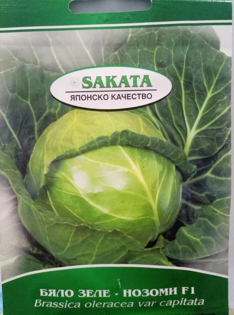 Капуста нозоми фото Семена Зеле Нозоми F1 - Cabbage Nozomi F1 Зеле и карфиол SortoviSemena.BG