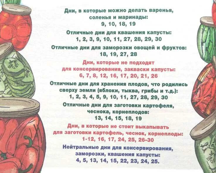 Капуста октябрь лунный календарь Благоприятные дни для квашивания капусты
