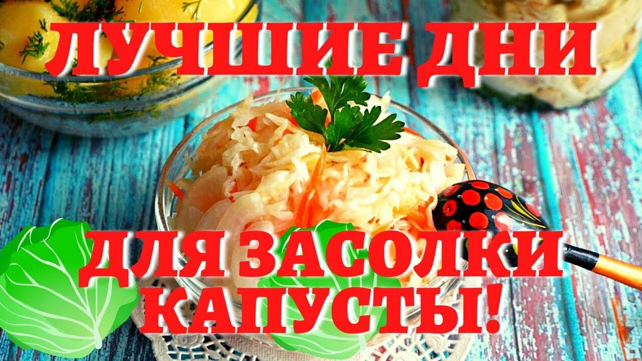 Капуста октябрь лунный календарь КОГДА СОЛИТЬ КАПУСТУ, чтобы была очень вкусной? Лучшие даты по лунному календарю