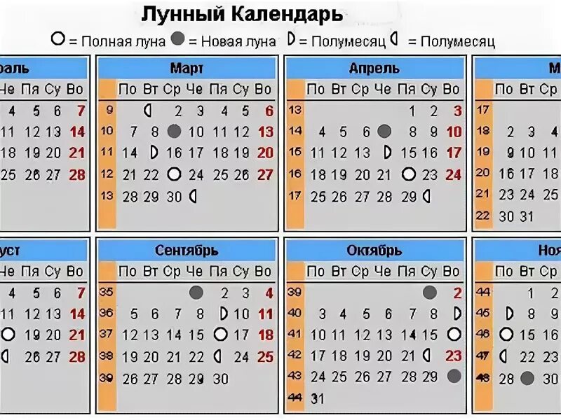 Капуста октябрь лунный календарь Картинки КВАСИТЬ КАПУСТУ В НОЯБРЕ 2023 БЛАГОПРИЯТНЫЕ ДНИ