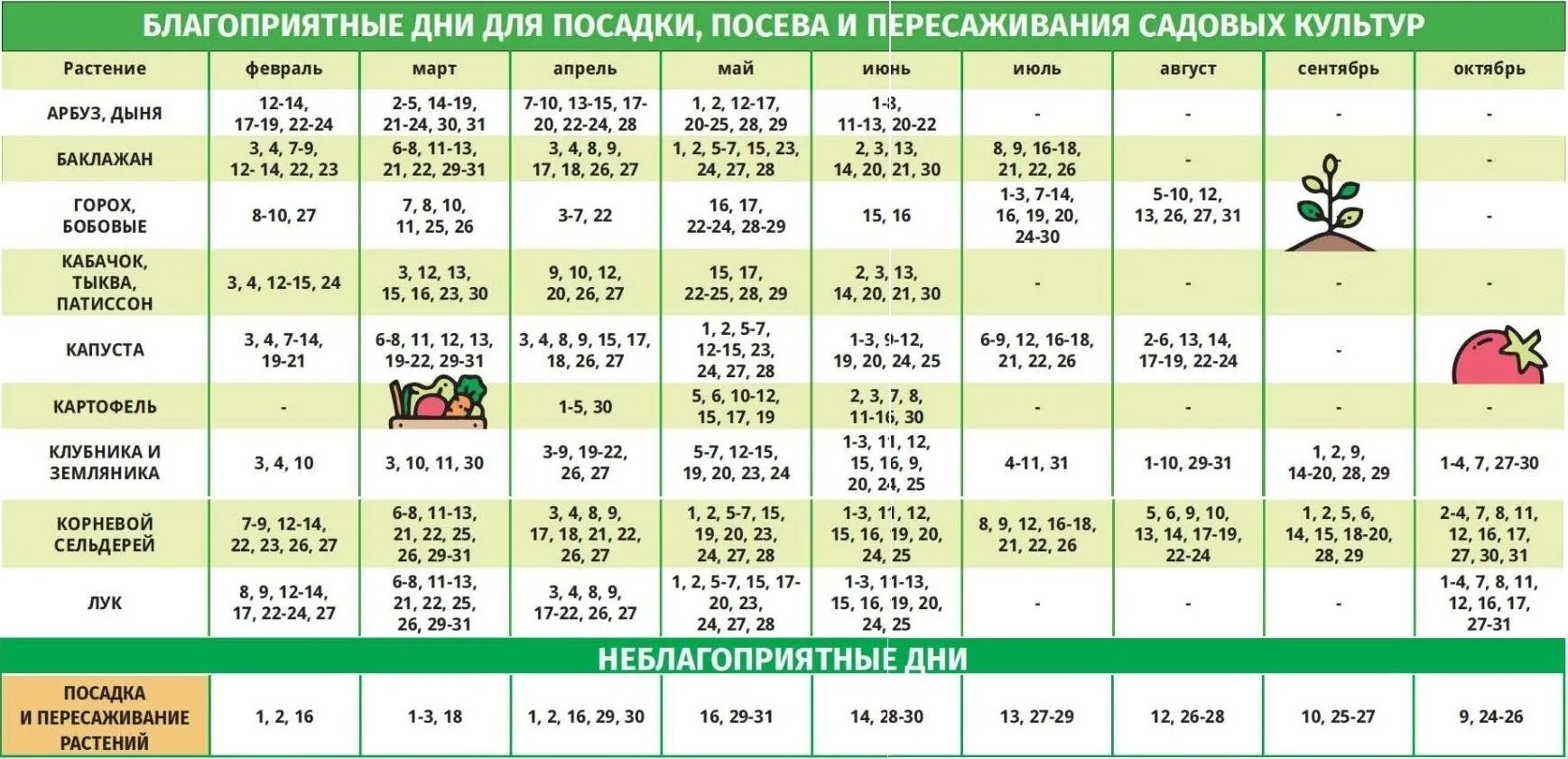 Капуста октябрь лунный календарь Лунный календарь на 2023 год Южный Город