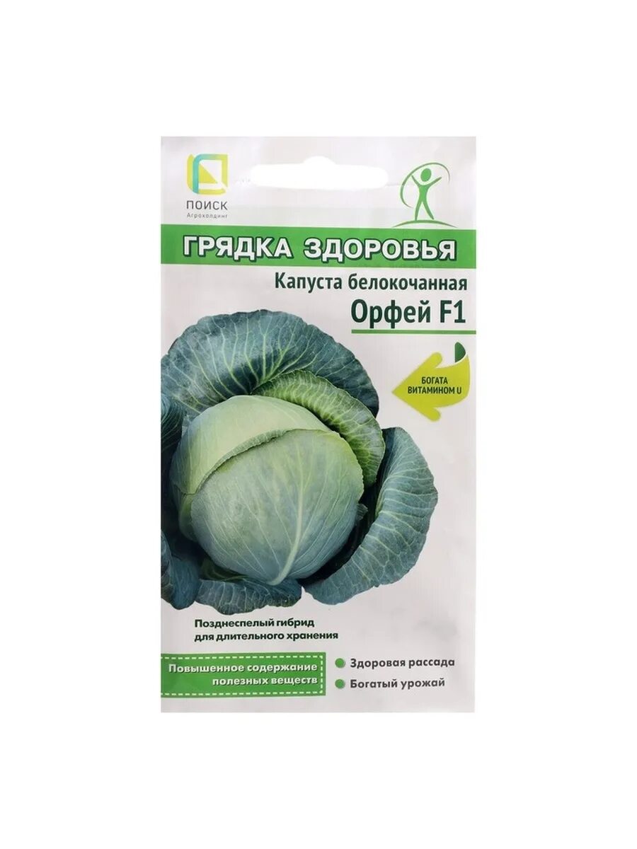 Капуста орфей описание сорта фото отзывы Семена Капуста белокочанная "Орфей", F1, 0,2 г Barantsev семена 82271774 купить 