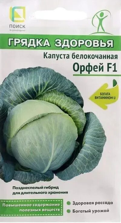 Капуста орфей описание сорта фото отзывы Семена Капуста б/к Орфей F1: описание сорта, фото - купить с доставкой или почто