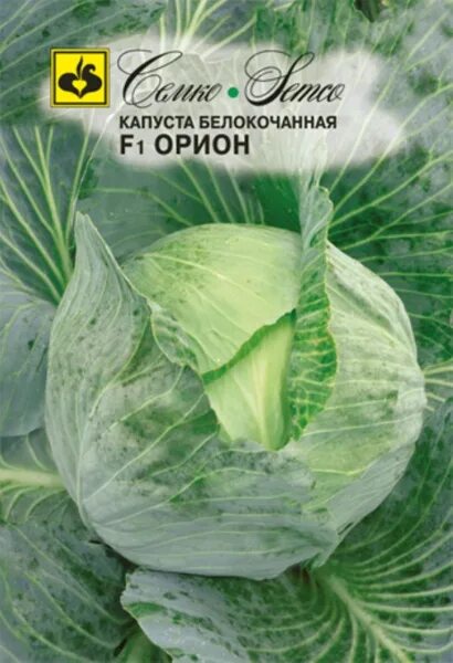 Капуста орион описание сорта фото отзывы садоводов Капуста BoriNat 125493 - купить по выгодным ценам в интернет-магазине OZON (8241